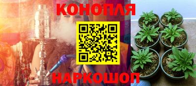ешки Абинск