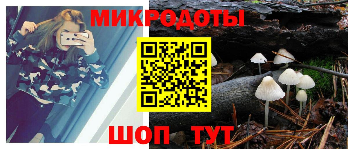 Александров  Псилоцибиновые грибы ЛСД  Псилоцибиновые грибы GOLDEN TEACHER  Вход с VPN 