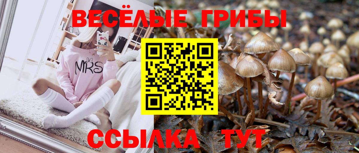 Галлюциногенные грибы ЛСД Александров